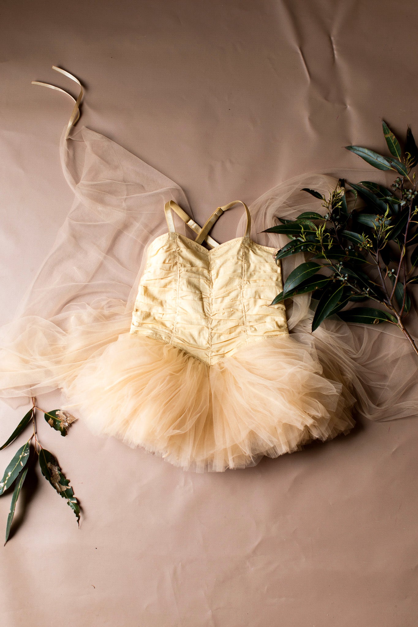 Garden Fairy - Biscuit